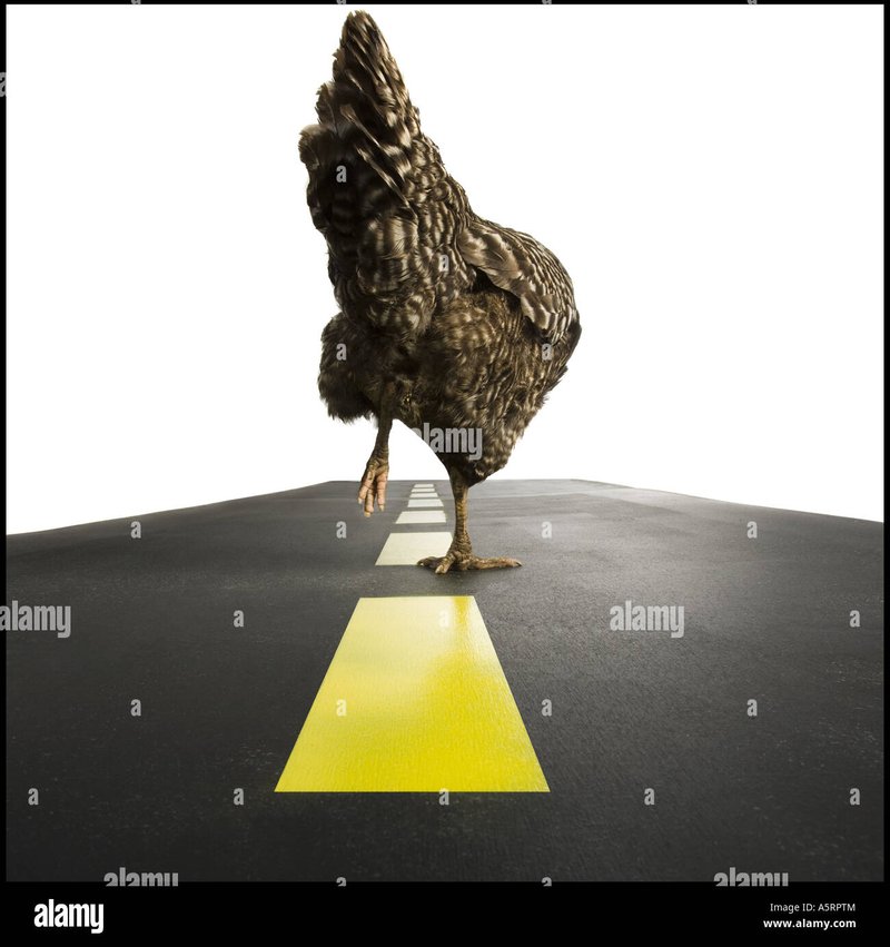 Chicken road casino in Spain